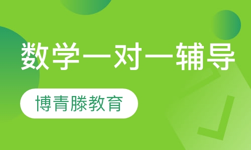 数学一对一辅导