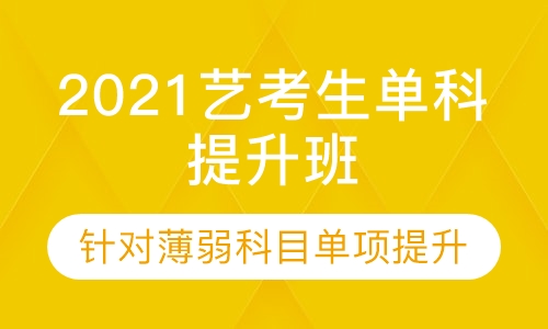 2021艺考生高考单科提升班