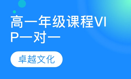 卓越文化高一年级课程VIP一对一
