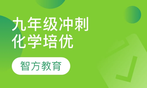 九年级冲刺中招化学培优课程