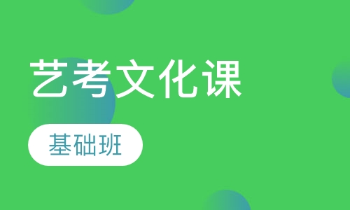 艺考生文化课辅导班