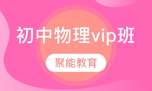 2020年初中物理vip辅导班