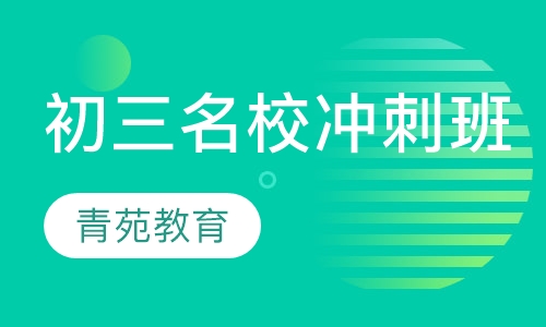 初三名校冲刺班