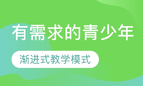 CS91: USACO金.牌等级培训