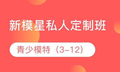 青少-新模星私人定制班