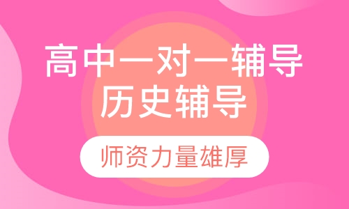 高中一对一辅导历史辅导
