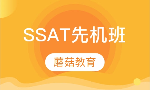 SSAT抢占先机班（3-8人班）