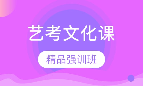 艺考生文化课精品强训班(4-6人)