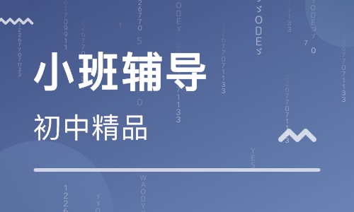 初中精品小班辅导
