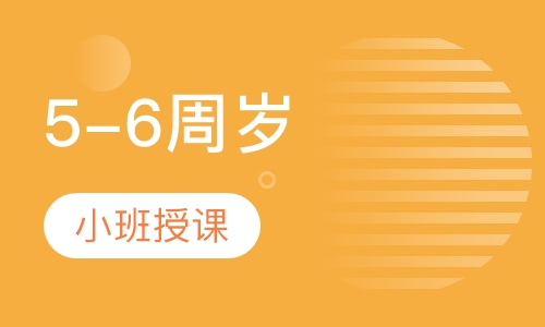 5-6周岁