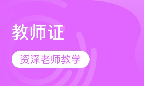 教师证(小学）课程