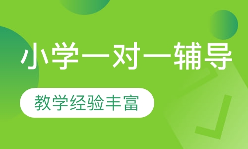 小学一对一辅导