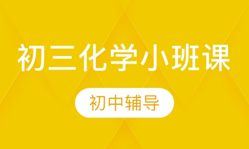 初三化学小班课