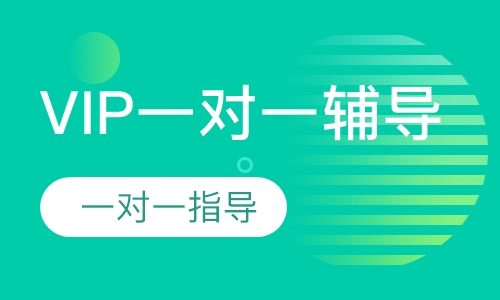 初中VIP一对一辅导