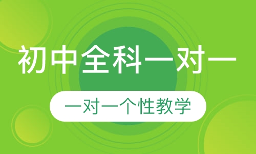初中全科一对一