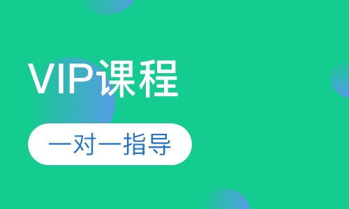 VIP一对一教学课程