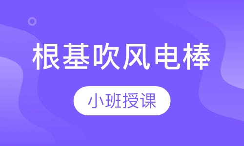 根基吹风电棒