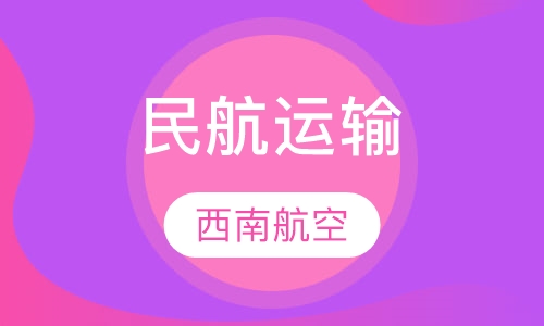 民航运输