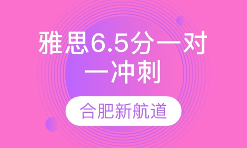 雅思6.5分冲刺VIP一对一班