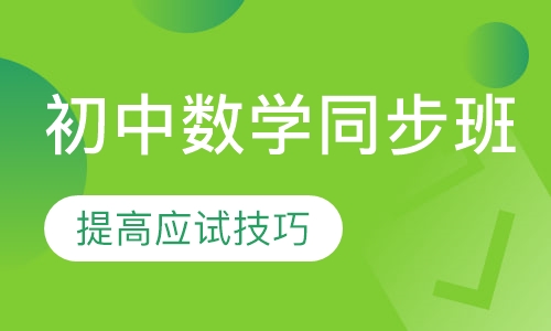 初中数学同步班