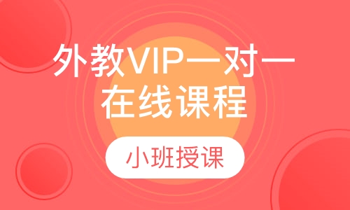 外教VIP一对一在线课程