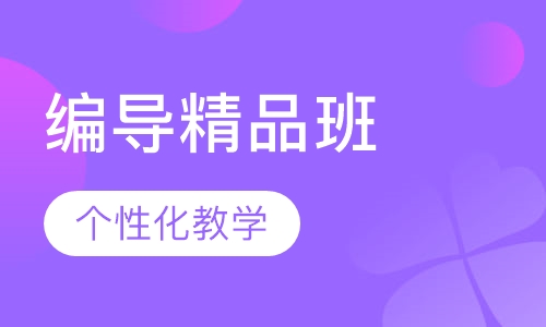 编导精品班