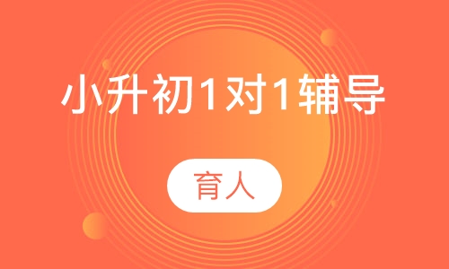 小升初1对1辅导