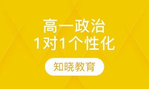 高中一年级政治 1对1个性化辅导