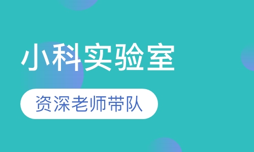 小科实验室第二季
