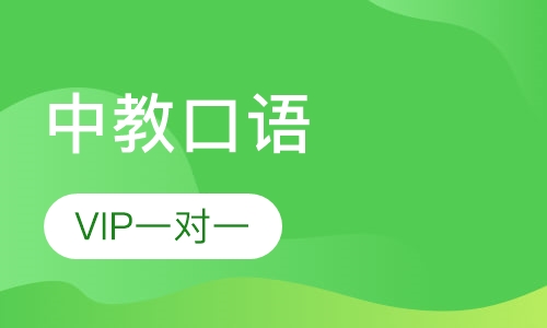 中教口语 VIP一对一
