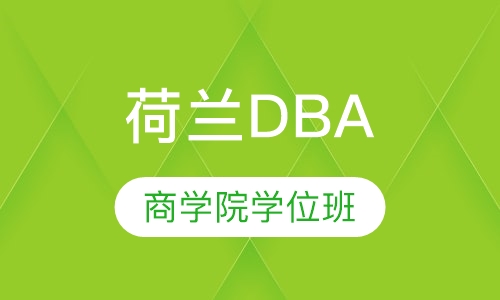 荷兰商学院DBA学位班
