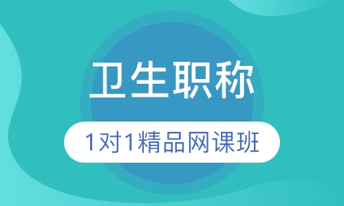 卫生职称1对1精品网课班
