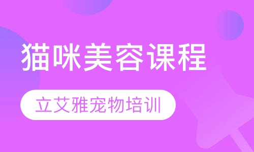 猫咪课程