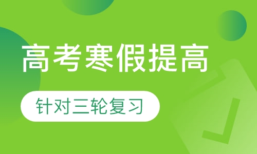 高考寒假提高课程