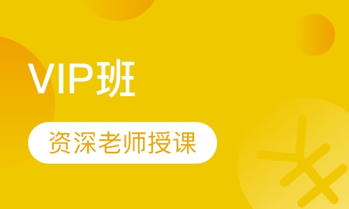 中级经济师VIP班