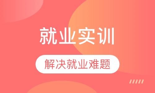 大学生就业实训班