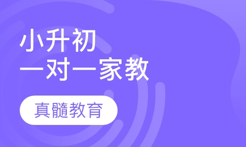 小升初一对一家教