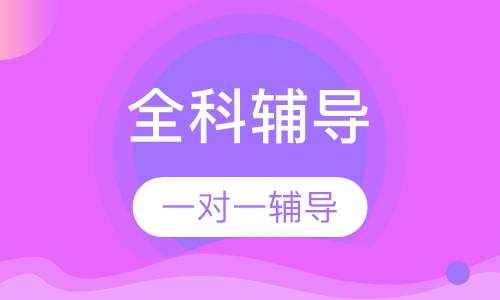 小学一对一全科辅导