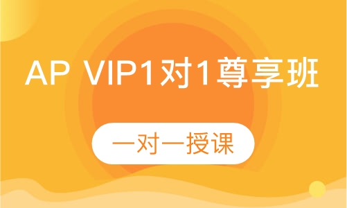 AP VIP1对1 尊享班