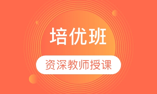 艺术生文化课培优班