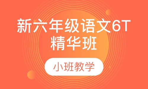 新六年级语文6T精华班