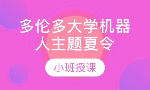 多伦多大学机器人主题夏令营