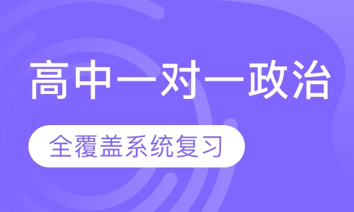 高中一对一政治辅导