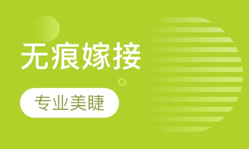 韩式3D无痕嫁接睫毛术班