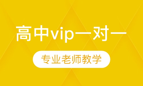 高中vip一对一辅导