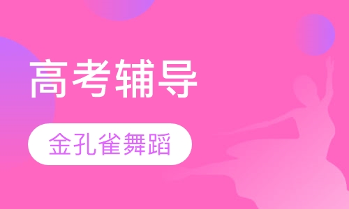 高考辅导