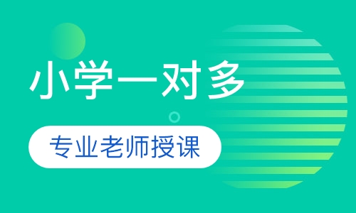 小学一对多