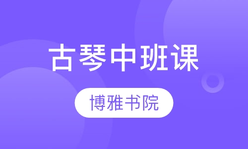古琴中班课