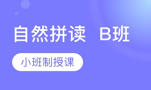 自然拼读B班