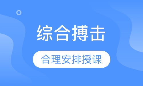 综合搏击